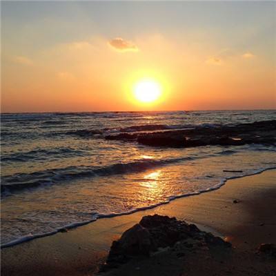 官方竞彩足球app