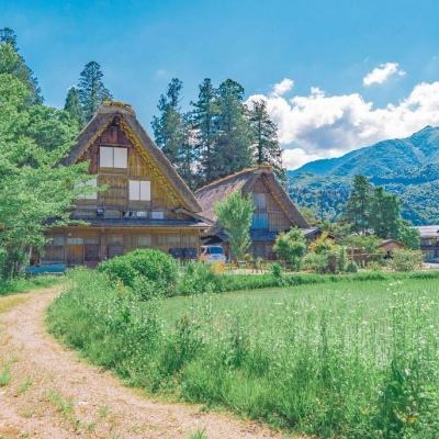 星空体育2024下载下载手机版