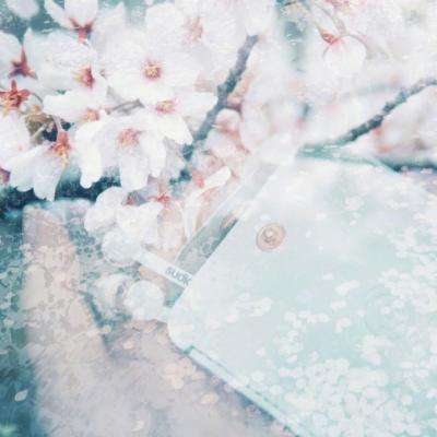 Bsports网页版登录